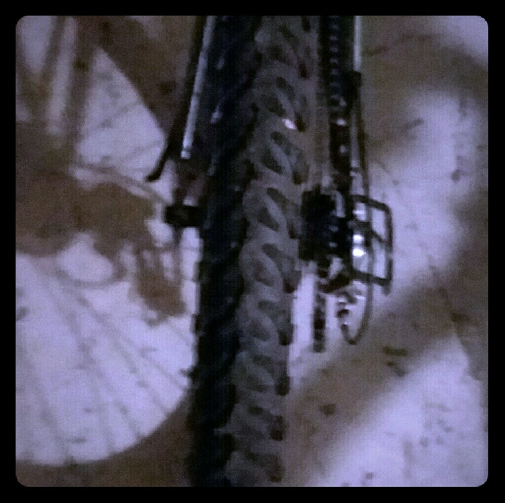 Next Gauntlet bike